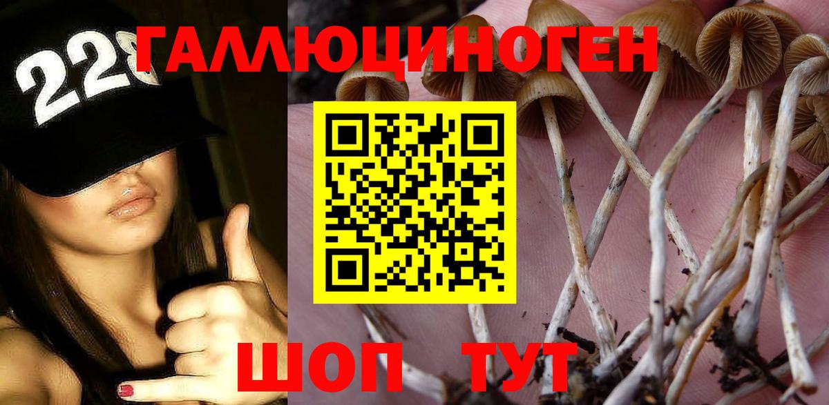Волгодонск  Галлюциногенные грибы мухоморы  Вход с VPN  Псилоцибиновые грибы Psilocybine cubensis 